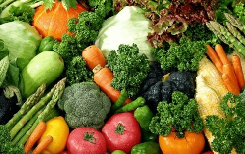 守好 菜籃子 ,鼓起 錢袋子 ,更樓街道打造精品蔬菜基地共富聯(lián)合體